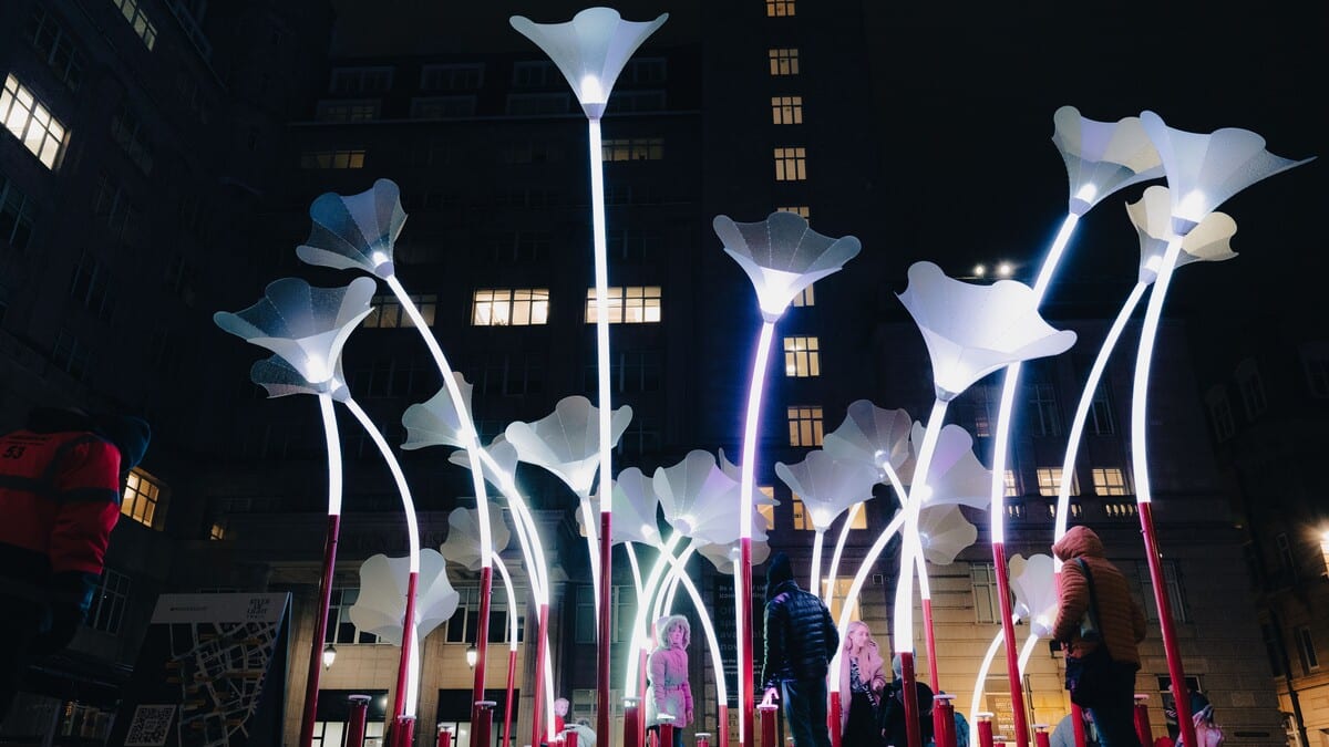 Giant flowers as a light installation lit up for Bristol Light Festival