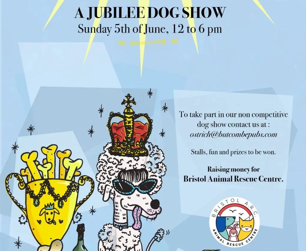 the-ostrich-bristol-scruffs-dog-show-jubilee-events