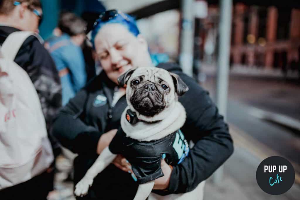woman-holding-pug-at-pug-frenchie-pup-up-cafe