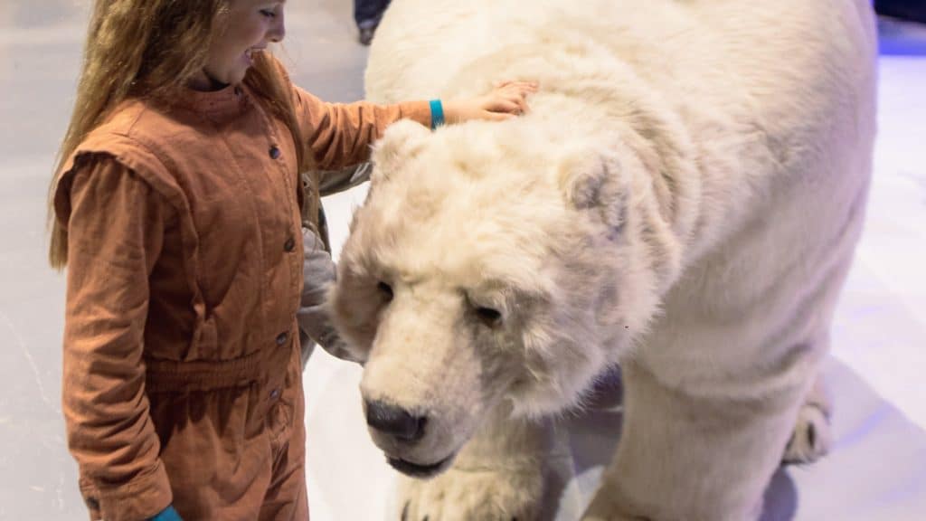 A polar bear being pet at Winerland