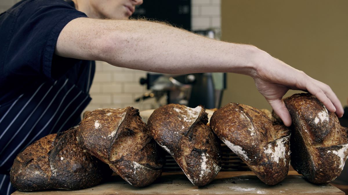 a line of sourdough loaves at Wilson's bread shop