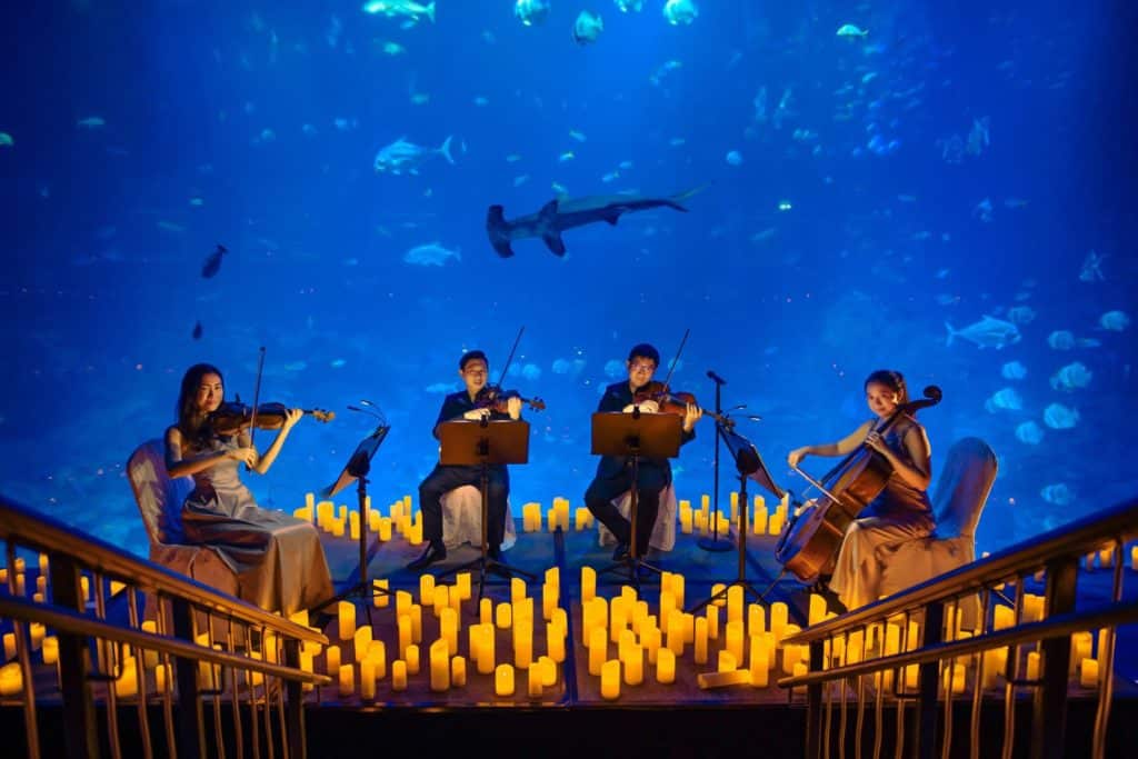 A staircase leading to a string quartet performing in front of an aquarium, surrounded by candles.