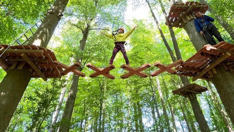 things to to do with kids in Bristol, Adventure Bristol's Tree Tops