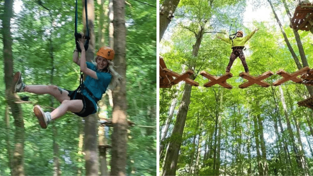 People in the tree tops with the new high ropes adventure in Ashton Court