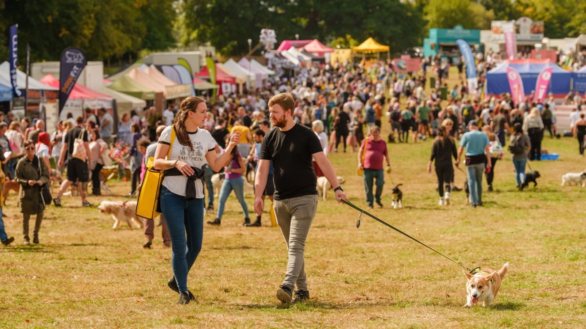 A crowd of people and their pets at DogFest